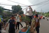 Polres Lebak, Banten imbau pengemudi waspadai pohon tumbang