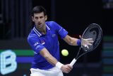 Djokovic bawa Serbia kalahkan Austria, Italia bekuk AS di Piala Davis