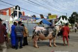 Bupati Tana Toraja terbitkan surat edaran PPKM level 3 menjelang Natal dan Tahun Baru