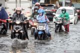 Pengendara mendorong kendaraannya yang mogok saat mencoba menerobos banjir di jalan kawasan Geluran, Taman, Sepanjang, Sidoarjo, Jawa Timur, Sabtu (27/11/2021). Curah hujan tinggi dan buruknya drainase mengakibatkan sejumlah wilayah di Sidoarjo terendam banjir. Antara Jatim/Umarul Faruq/zk