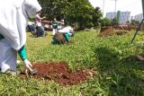 SMP Islam Al Syukro giat tanam 1.000 pohon, jaga paru-paru Kota Tangerang