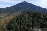 Perambahan Hutan Di Kaki Gunung Kerinci