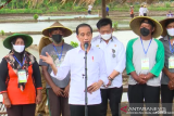 Indonesia has no rice imported at all this year: President Jokowi
