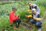 Yasmanda tanam 10.000 bibit pohon di lahan bekas tambang pasir Merapi