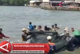 Ikan hiu paus tutul tertangkap jaring nelayan payang