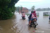 Dinkes Kudus imbau masyarakat waspadai DBD