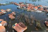 Banjir Rob Masih Menggenangi Pekalongan