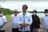 Presiden akan mengajak 20 pimpinan G20 tinjau konservasi mangrove di Bali