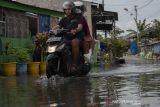 Langganan Banjir Rob di Kampung Lere