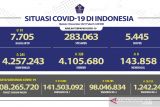 Kasus harian positif COVID-19 bertambah 245 orang, terbanyak di Jakarta