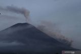 Gunung Semeru yang mengeluarkan awan panas terlihat dari Pronojiwo, Lumajang, Jawa Timur, Minggu (5/12/2021). Pusat Vulkanologi Mitigasi Bencana Geologi (PVMBG) meminta masyarakat mewaspadai potensi awan panas dan lahar dingin di sepanjang aliran sungai yang berhulu di puncak Gunung Semeru terutama di aliran Besuk Kobokan, Besuk Bang, Besuk Kembar, dan Besuk Sat. ANTARA FOTO/Ari Bowo Sucipto/nym.