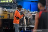 Pekerja mengumpulkan ikan hiu ke dalam mobil di tempat pelelangan ikan Karangsong, Indramayu, Jawa Barat, Kamis (6/12/2021). Berbagai jenis ikan hiu masih menjadi target tangkapan nelayan di daerah itu untuk diambil sirip ataupun dagingnya karena nilai jual yang tinggi. ANTARA FOTO/Dedhez Anggara/agr