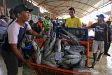 Pekerja mengumpulkan ikan di tempat pelelangan ikan Karangsong, Indramayu, Jawa Barat, Senin (6/12/2021). Kementerian Kelautan dan Perikanan menyatakan selama periode Januari hingga Oktober 2021, nilai ekspor produk perikanan indonesia mencapai 4,56 Miliar dolar AS atau naik 6,6 persen dibanding periode yang sama tahun 2020 sebesar 4,28 miliar dolar AS. ANTARA FOTO/Dedhez Anggara/agr