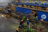 Pekerja memilah sampah yang akan dikelola dan dimanfaatkan kembali di Tempat Pengolahan Sampah Terpadu (TPST) Sampahku Tanggung Jawabku (Samtaku) Jimbaran, Badung, Bali, Senin (6/12/2021). Tempat Pengolahan Sampah Terpadu yang mampu mengolah sampah organik dan anorganik menjadi kompos, bahan daur ulang dan bahan refuse derived fuel (RDF) dengan kapasitas 120 ton per hari tersebut menjadi alternatif pengelolaan sampah di Bali serta upaya mendukung Pemerintah mengurangi sampah plastik di lautan. ANTARA FOTO/Nyoman Hendra Wibowo/nym.