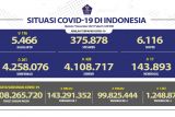 99,8 juta warga Indonesia sudah terima vaksin COVID-19 dosis kedua