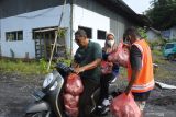 Petugas Badan Penanggulangan Bencana Daerah (BPBD) Situbondo mendistribusikan makan untuk pengungsi Gunung Semeru di Desa Jarit, Candipuro, Lumajang, Jawa Timur, Rabu (8/12/2021). Petugas penanggulangan bencana Gunung Semeru masih melakukan penanganan darurat bencana Gunung Semeru di hari kelima, seperti pemenuhan logistik warga, juga pemeriksaan kesehatan.
Antara Jatim/Seno