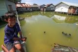 Seorang anak mengumpulkan botol bekas saat banjir pasang air laut atau rob di Desa Hagu Selatan, Kecamatan Banda Sakti, Lhokseumawe, Aceh, Senin (6/12/2021). Banjir rob musiman itu merendam tiga desa perkampungan nelayan dan merusak jalan lingkar pesisir pantai. ANTARA FOTO/Rahmad