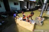 Seorang anak mengumpulkan botol bekas saat banjir pasang air laut atau rob di Desa Hagu Selatan, Kecamatan Banda Sakti, Lhokseumawe, Aceh, Senin (6/12/2021). Banjir rob musiman itu merendam tiga desa perkampungan nelayan dan merusak jalan lingkar pesisir pantai. ANTARA FOTO/Rahmad