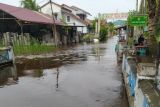 BMKG Supadio Pontianak prakirakan banjir rob terjadi hingga 15 Desember