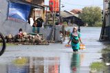 Warga berjalan menerobos banjir rob yang merendam pemukiman di Desa Eretan Wetan, Indramayu, Jawa Barat, Kamis (9/12/2021). Banjir rob yang terjadi hampir sebulan itu membuat aktivitas warga terhambat. ANTARA FOTO/Dedhez Anggara/agr