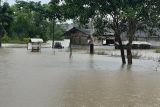 Banjir ancam Tanjungpinang