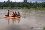 Jasad warga pasaman tenggelam di Sungai Batang Masang belum ditemukan