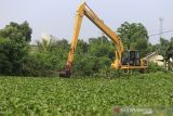 Pekerja mengoperasikan alat berat untuk membersihkan tumbuhan eceng gondok yang menutup embung pengendali banjir di Pabean udik, Indramayu, Jawa Barat, Selasa (14/12/2021). Normalisasi embung dilakukan untuk mengurangi dampak banjir rob yang sering terjadi di daerah itu. ANTARA FOTO/Dedhez Anggara/agr
