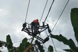 Ratusan gardu PLN  yang rusak akibat gempa di Laut Flores dipulihkan