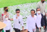 Presiden Jokowi ingin ada kepastian harga dan pembeli bawang merah petani