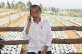 Presiden Jokowi dengarkan keluhan petani soal impor bawang putih saat panen