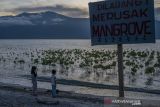 Konservasi Mangrove untuk Perubahan Iklim
