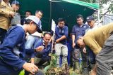 Jejak Bumi Indonesia OKU Sumsel tanam bibit pohon bambu di DAS Ogan