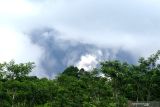 Kepulan awan panas guguran Gunung Semeru terlihat dari Desa Sumber Mujur, Candipuro, Lumajang, Jawa Timur, Kamis (16/12/2021). Erupsi Gunung Semeru kembali terjadi pada pukul 09.10 Wib yang menyebabkan warga dan relawan panik. Antara Jatim/Budi Candra Setya/zk