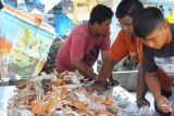 Pemkot Bandarlampung upayakan nelayan ramah lingkungan tangkap ikan