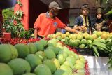 Peserta menjelaskan salah satu jenis varietas buah mangga saat Festival Mangga di Indramayu, Jawa Barat, Jumat (17/12/2021). Festival tersebut menampilkan berbagai jenis varietas buah mangga dan produk olahan yang berbahan dasar buah mangga. ANTARA FOTO/Dedhez Anggara/agr