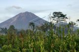 Status Gunung Semeru