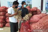 Dua perusahaan teken kontrak pembelian bawang putih petani Temanggung