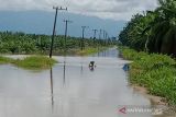 Ribuan warga  Tiku Lima Jorong Agam terisolir karena banjir