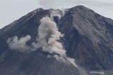 Awan Panas Guguran (APG) keluar melalui bukaan aliran lava baru Gunung Semeru terlihat dari desa Supiturang, Pronojiwo, Lumajang, Jawa Timur, Selasa (21/12/2021). Pusat Riset Aplikasi Penginderaan Jauh Lapan - Badan Riset dan Inovasi Nasional (BRIN) mencatat gunung Semeru mengalami perubahan bentuk di wilayah kawah hingga lereng di bagian tenggara akibat aktivitas vulkanik berupa luncuran awan panas guguran. Antara Jatim/Ari Bowo Sucipto/zk