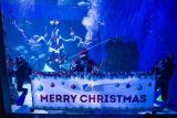 Penyelam berkostum Sinterklas dan putri duyung melambaikan tangan saat tampil dalam pertunjukan menghias pohon Natal bawah air di Jakarta Aquarium dan Safari, Jakarta, Senin (20/12/2021). Pertunjukan tersebut diselenggarakan untuk memeriahkan perayaan Natal 2021 dan Tahun Baru 2022. ANTARA FOTO/Dhemas Reviyanto/tom.