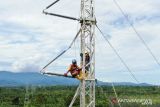 PLN UIP Sulawesi  pulihkan jaringan interkoneksi Sulbar--Sulteng