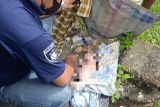 Petugas kebersihan temukan mayat bayi di kali Mataram