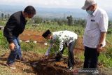 Puluhan ribu bibit ditanam di kawasan Gunung Sumbing untuk konservasi