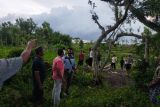 Baru dua hari pulang dari Malaysia, pria di Lombok Tengah gantung diri di pohon beringin