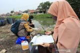 Petugas Dinas Lingkungan Hidup Kabupaten Indramayu mengambil contoh air pengolahan limbah saat melakukan inspeksi mendadak di salah satu industri pengolahan ikan di desa Karangsong, Indramayu, Jawa Barat, Kamis (30/12/2021). Dinas Lingkungan Hidup Kabupaten Indramayu melakukan pengambilan contoh air serta pemeriksaan Instalasi Pengolahan Air Limbah (IPAL) di sejumlah tempat pengolahan ikan karena banyak keluhan masyarakat terkait pencemaran lingkungan yang diduga berasal dari limbah industri yang berada di sepanjang sungai Prajagumiwang. ANTARA FOTO/Dedhez Anggara/agr
