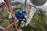 XL Axiata perkuat infrastruktur jaringan data di Sumatera