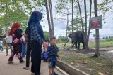 Masyarakat padati Kebun Binatang Kasang Kulim di libur tahun baru