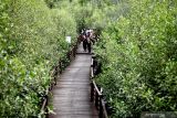 Warga melintasi jembatan ketika berwisata di Ekowisata Mangrove Gunung Anyar, Surabaya, Jawa Timur. Sabtu (1/1/2022). Sejumlah tempat wisata di Surabaya tetap dibuka bagi warga yang ingin liburan dengan menerapkan pembatasan pengunjung dan wajib menggunakan aplikasi PeduliLindungi. Antara Jatim/Rizal Hanafi/Zk