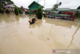 Sejumlah warga berjalan menembus banjir yang melanda Kota Lhoksukon, Aceh Utara, Aceh, Senin (3/1/2022). Data dari Badan Penanggulangan Bencana Daerah (BPBD) Aceh Utara mencatat banjir yang merendam 14 Kecamatan di daerah tersebut mengakibatkan 2.278 jiwa terdampak dan satu orang anak meninggal dunia. ANTARA FOTO/Rahmad