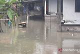 Puluhan rumah di Sungailiat terancam  terendam banjir